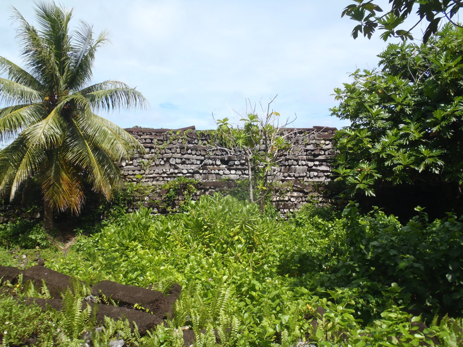 Nan Madol — Blick auf eine der künstlichen Inseln mit erhaltenen Basaltmauern