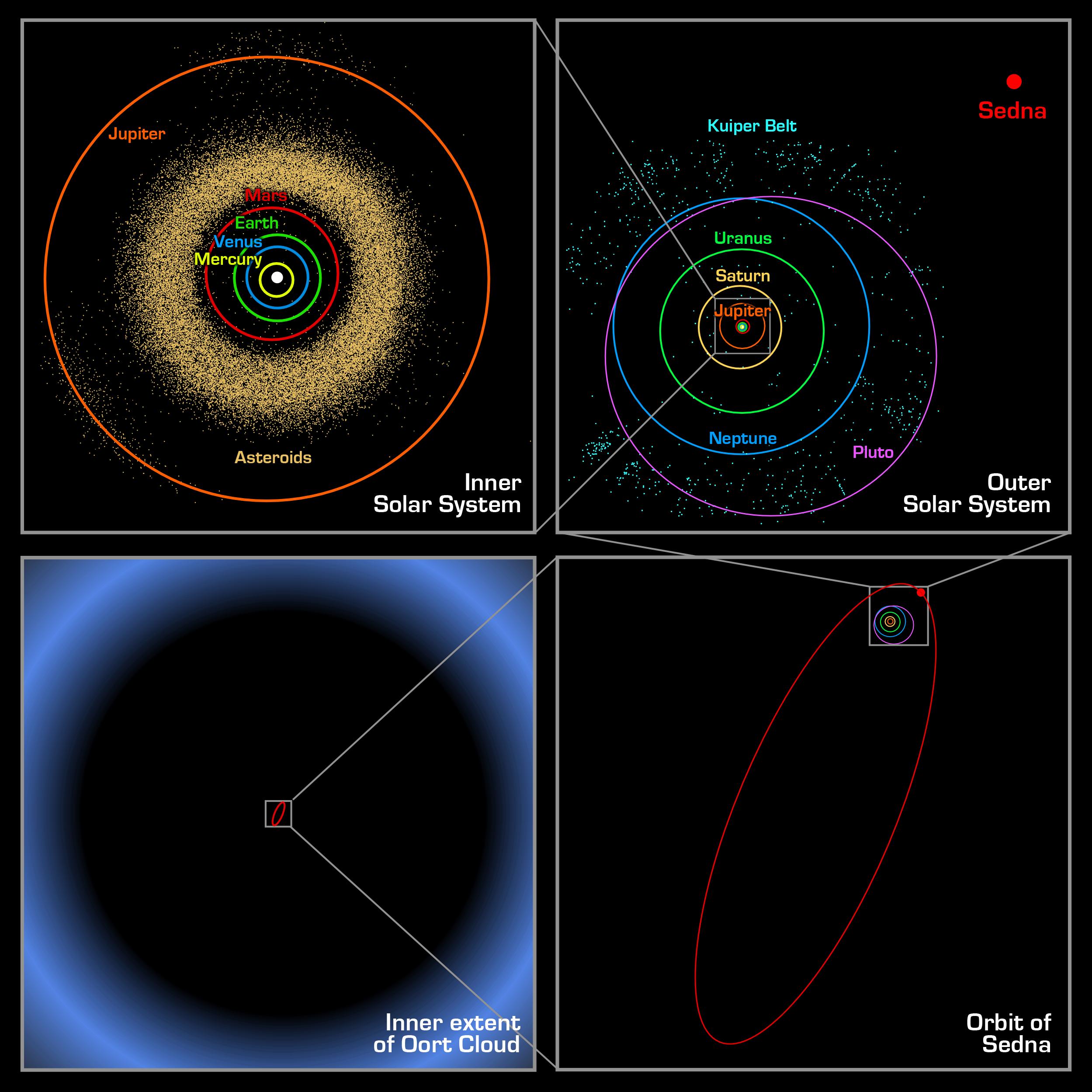Diagramm: Vergleich der Bahnen im Sonnensystem — von den inneren Planeten bis zur hochelliptischen Bahn Sednas jenseits des Kuipergürtels