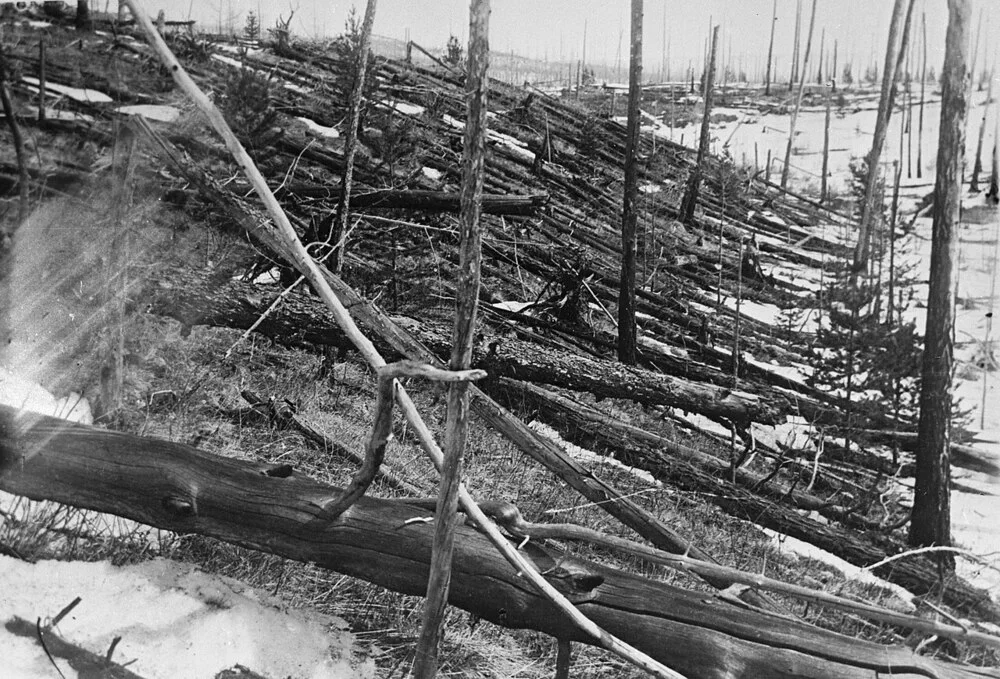 Umgeknickte Bäume in der Tunguska-Region, Sibirien — Leonid Kulik Expedition 1929